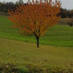 Raymond Luca - @raymond.luca.773 - Instagram