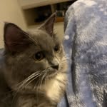 Raymond Luk - @raymond_luk_05 - Instagram