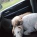 Raymond Lund - Facebook