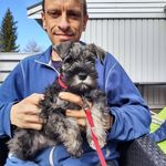 Raymond Lund Olsen - @raymond.l.olsen - Instagram