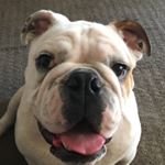 Raymond Mackey - @raymond_mackey - Instagram