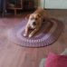Raymond Madison - Facebook