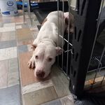 Raymond Madison - @raymond.madison.568 - Instagram