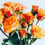 Raymond mark - @raymondmark968 - Instagram