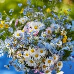 Raymond Marriott - Facebook