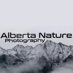 Raymond Martens - @alberta_nature_photography - Instagram