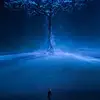 raymondmartinelly - @amazingfactsstorys1 - TikTok