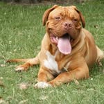 Raymond Charles Mason - @raymondmason1428 - Instagram