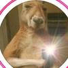 Maximo Raymond - @maximo.raymond - TikTok