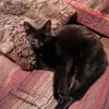 Raymond McAfee526 - @raymondmcafee1906 - TikTok