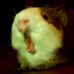 Raymond McAfee - Facebook