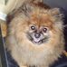 Raymond McClendon - Facebook