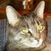 Ray McFall Jr. - Facebook