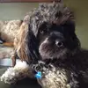 Ray Mcgarry - @ray.mcgarry0 - TikTok