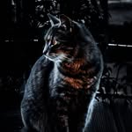 Raymond aka Mello - @01.mello.24 - Instagram