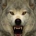Raymond Mello - Facebook