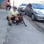 Raymond Mello - @raymond.mello.522 - Instagram