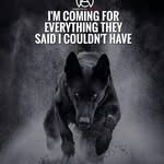 Raymond Merrill - @raymond.merrill - Instagram