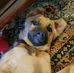 Raymond Merrill - Facebook