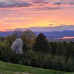 Raymond Morel - Facebook