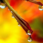 Raymond Moser - @raymondmoser - Instagram