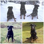 Raymond Moser - @rmos720 - Instagram