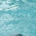 Anna Naharba - @raymond_mullins_68 - Instagram
