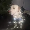 Raymond mullins - @raymond.mullins7 - TikTok
