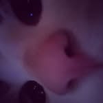Raymond Muncy Jr. - @raymuncyjr - Instagram
