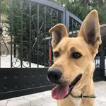 Raymond Nassif - @raymond__nassif - Instagram
