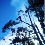 Raymond Thomas Nipperess - @raymondnipperess - Instagram