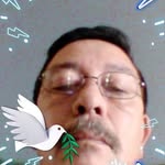 Raymond Nixon - @raymondnixon16 - Instagram