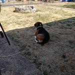 Raymond Ogle - @raymond_ogle_6591 - Instagram