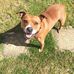 Raymond Oldham - Facebook