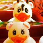 💚Frank💚💛Oswald💛💙Raymond💙 - @frank.oswald.raymond - Instagram