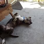 Raymond Otto - @raymond.otto.395 - Instagram
