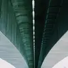 RaymondPace428 - @raymondpace428 - TikTok