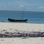 Pascal Raymond - @pascal.raymond.925 - Instagram