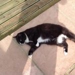 Amanda Pascoe - @raymondpascoeyahoo.co.uk - Instagram