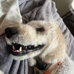 Raymond - @raymondpattend - Instagram