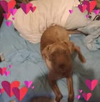 Raymond Peppers - Facebook