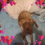 Raymond Peppers - @r67497956 - Instagram