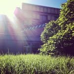 Raymond Pfeifer - @foxmajonard - Instagram