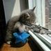 Ray Pickell - Facebook
