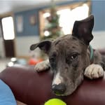 Raymond Pinney - @ray_pinney - Instagram