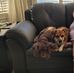 Raymond Pitre - Facebook