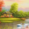Raymond Spitz - @raymond.spitz - TikTok
