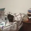 Ray Poore - @ray.poore - TikTok