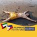 Raymond Mella Quinto - Facebook
