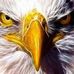 Ray Rader - Facebook
